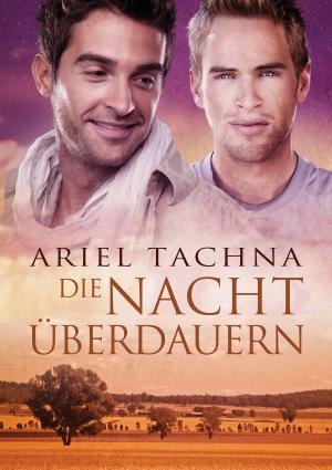 Cover of the book Die Nacht überdauern by Kim Fielding