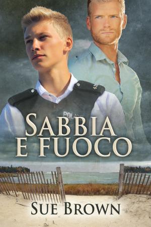 Book cover of Sabbia e fuoco