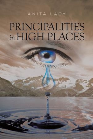 Cover of the book Principalities in High Places by Diego Rivera Valentin