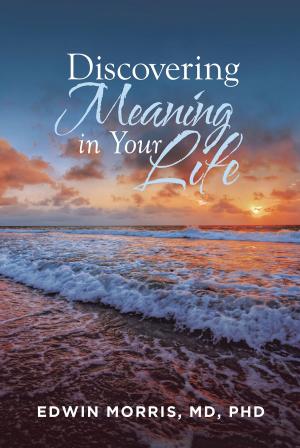 Cover of the book Discovering Meaning in Your Life by K-Ray McClure