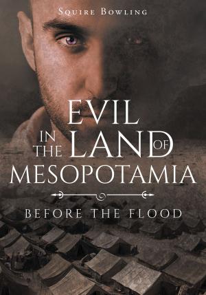 Cover of the book Evil in the Land of Mesopotamia by Corey Johnston