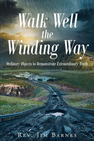 Cover of the book Walk Well the Winding Way by Brian T. Reid, Sr.