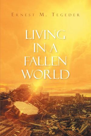 Cover of the book Living in a Fallen World by James F. Hind