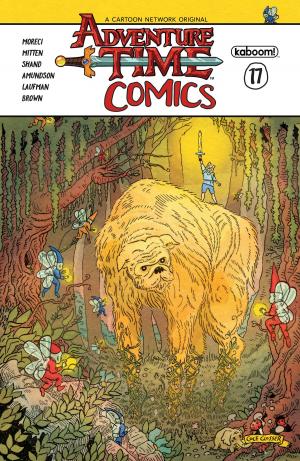 bigCover of the book Adventure Time Comics #17 by 