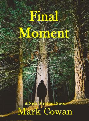 Cover of the book Final Moment by Richard Freeland