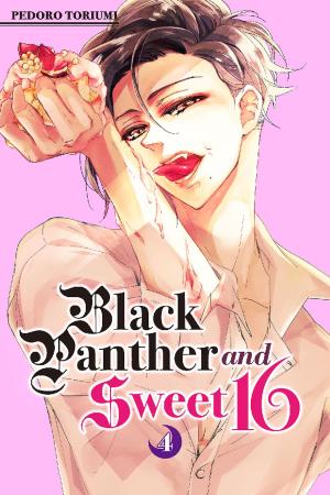Cover of the book Black Panther and Sweet 16 by Ken Akamatsu