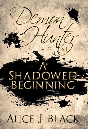 Cover of the book A Shadowed Beginning by Lisa Aldridge
