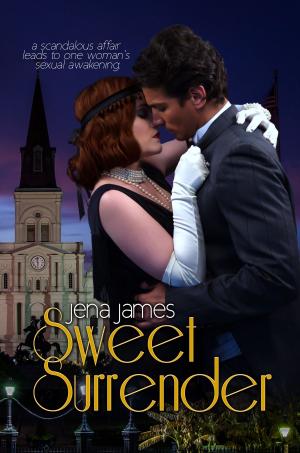 Cover of the book Sweet Surrender by Megan Hussey