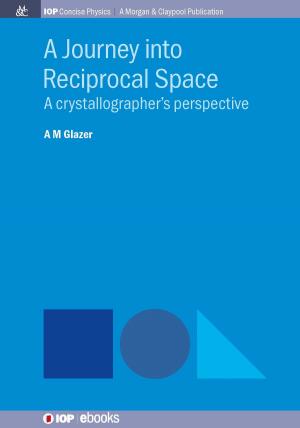 Cover of the book A Journey into Reciprocal Space by Sharon Ann Holgate