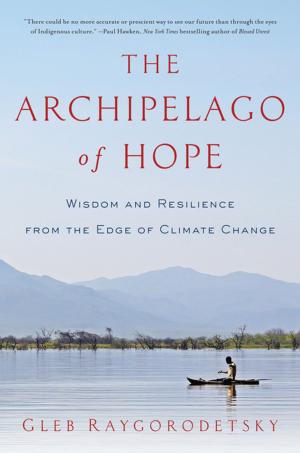 Cover of the book The Archipelago of Hope: Wisdom and Resilience from the Edge of Climate Change by Fiona Neill