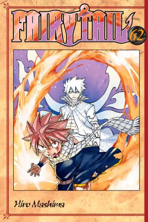 Cover of the book Fairy Tail by Suzuhito Yasuda
