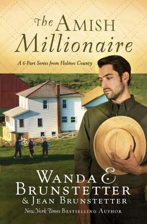 Book cover of The Amish Millionaire Collection