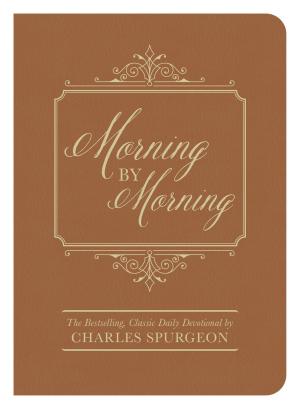 Cover of the book Morning by Morning by Davalynn Spencer