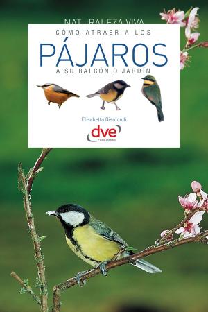 Cover of the book Cómo atraer a los pájaros a su balcón o jardín by Stefano Mayorca