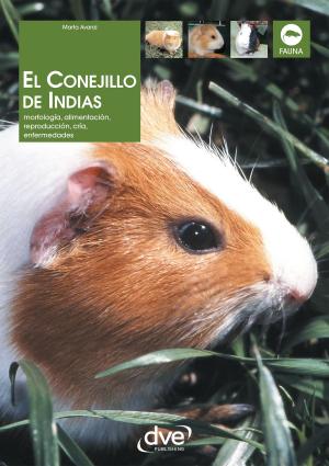 Cover of the book El Conejillo de Indias. Morfología, alimentación, reproducción, prevención y tratamiento de las enfermedades by Varios autores