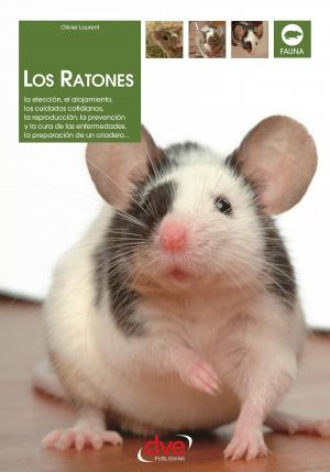 Cover of the book Los ratones: La elección, el alojamiento, los cuidados cotidianos, la reproducción, la prevención y la cura de las enfermedades, la preparación de un criadero… by Gianluigi Spini