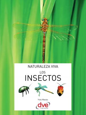 Cover of the book Los insectos by Magali Martija-Ochoa