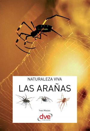 Cover of the book Las arañas by Anna Prandoni, Fabio Zago