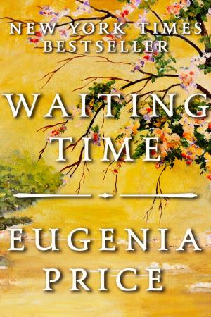 Cover of the book The Waiting Time by Megan A Schartner