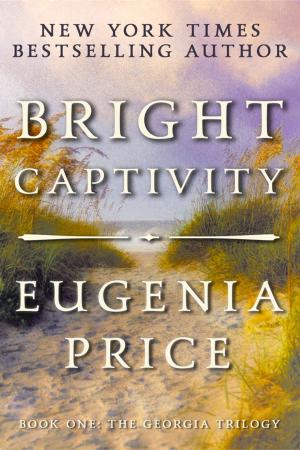 Cover of the book Bright Captivity by Debra Jess