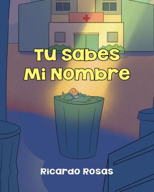 Cover of the book Tu Sabes Mi Nombre by Arky Destefano