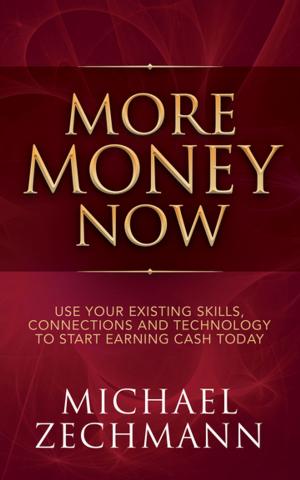Cover of the book More Money Now by Akshay Nanavati