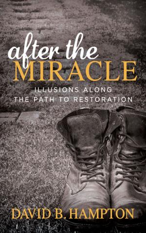 Cover of the book After the Miracle by David Alley
