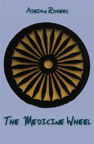 Cover of the book The Medicine Wheel by Janis Spehr