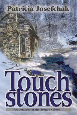 Cover of the book Touchstones by Tim Bouma
