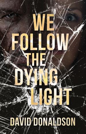Cover of the book We Follow the Dying Light by John Steckley