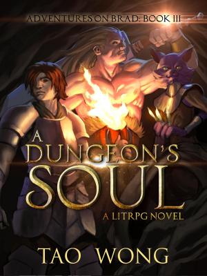 Cover of A Dungeon's Soul