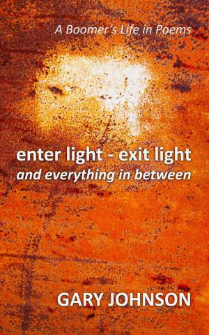 Cover of the book Enter Light - Exit Light and Everything in Between by Ron Houston