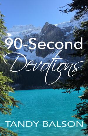 Book cover of 90-Second Devotions