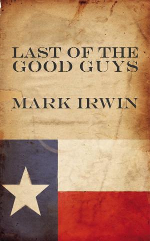 Book cover of The Last of the Good Guys