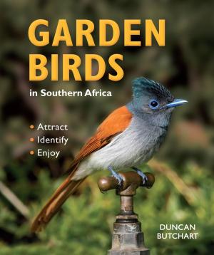 Cover of the book Garden Birds in Southern Africa by John Manning