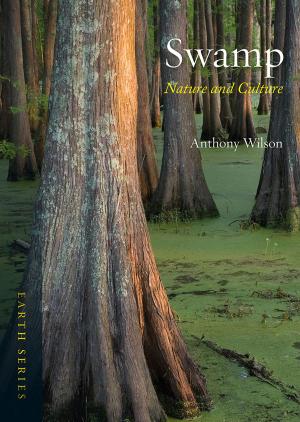 Cover of the book Swamp by Charlotte Horlyck