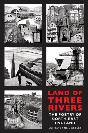 Cover of the book Land of Three Rivers by Moniza Alvi