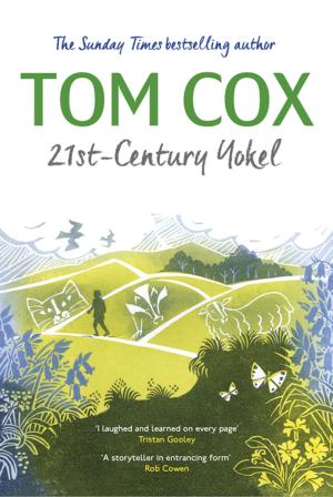Cover of the book 21st-Century Yokel by Lucy Popescu