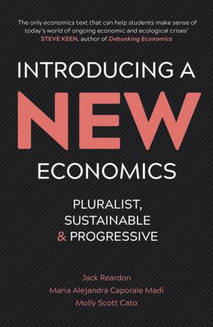 Cover of the book Introducing a New Economics by Jonathan Beller