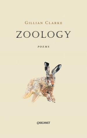 Cover of the book Zoology by Gillian Clarke