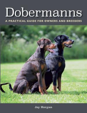 Cover of the book Dobermanns by Julia Rai