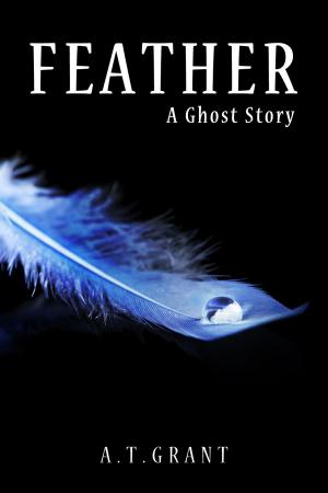 Cover of the book Feather by Chris Cowlin