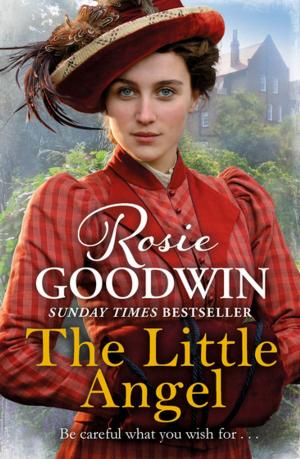 Cover of the book The Little Angel by Laure Eve