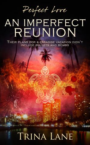 Cover of the book An Imperfect Reunion by Naomi Bellina