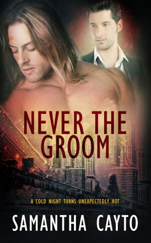 Book cover of Never the Groom