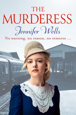 Cover of the book The Murderess by Angie Coleman