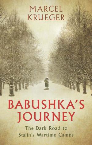Cover of the book Babushka's Journey by Dr David Nicolle