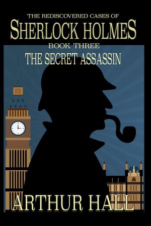 Book cover of The Secret Assassin