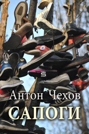 Cover of the book Boots by Anton Chekhov