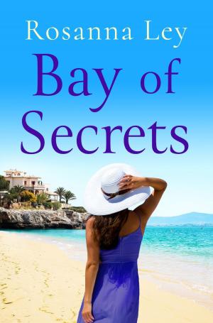 Cover of the book Bay of Secrets by Lyuba Vinogradova